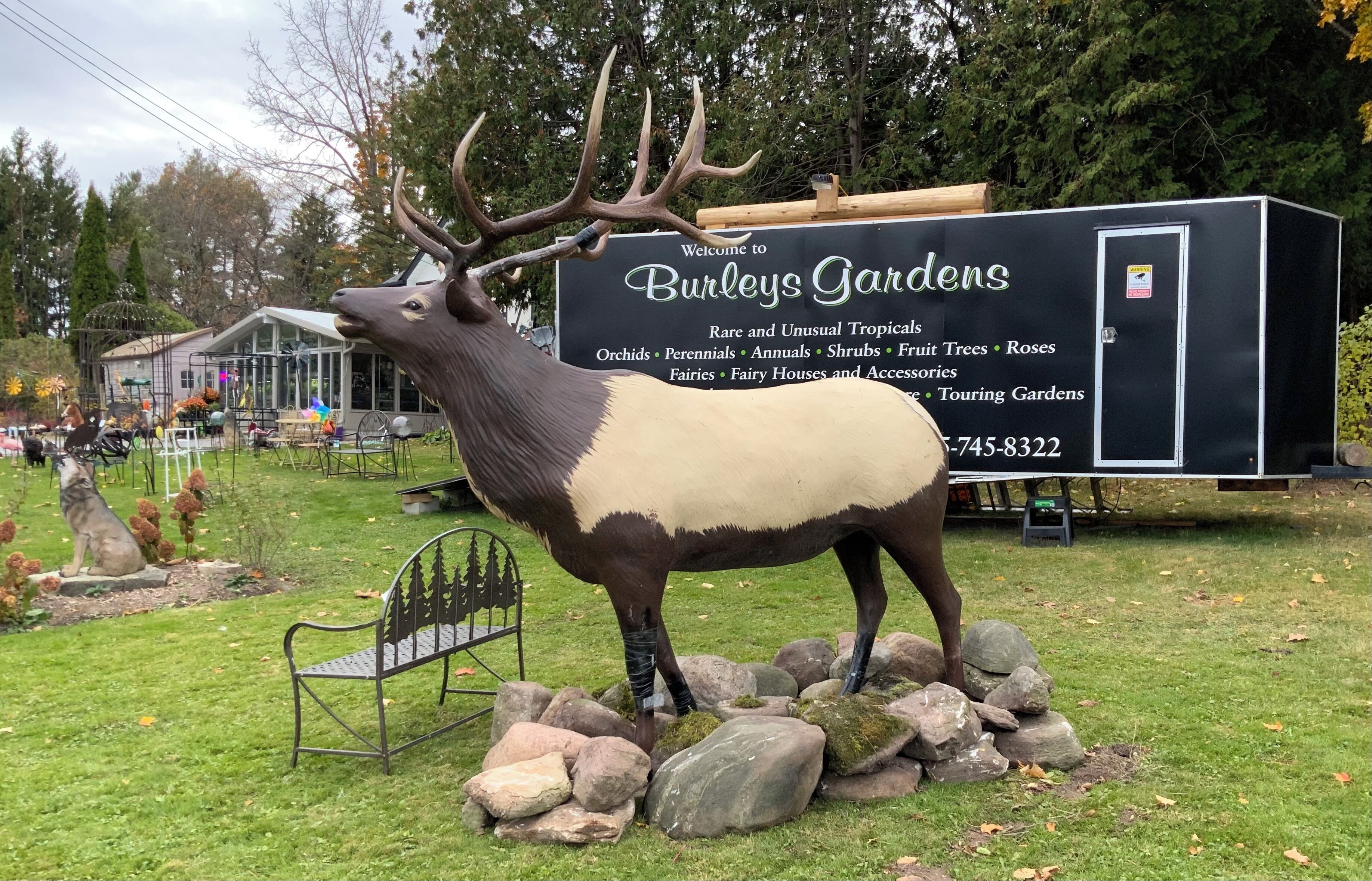 A deer statue in front of a black trailer with a sign listing garden features like orchids and roses.