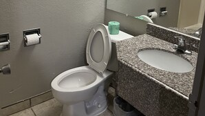 A bathroom with a toilet, sink, mirror, towel rack, and a trash bin. - Economy Hotel San Antonio  (San Antonio)