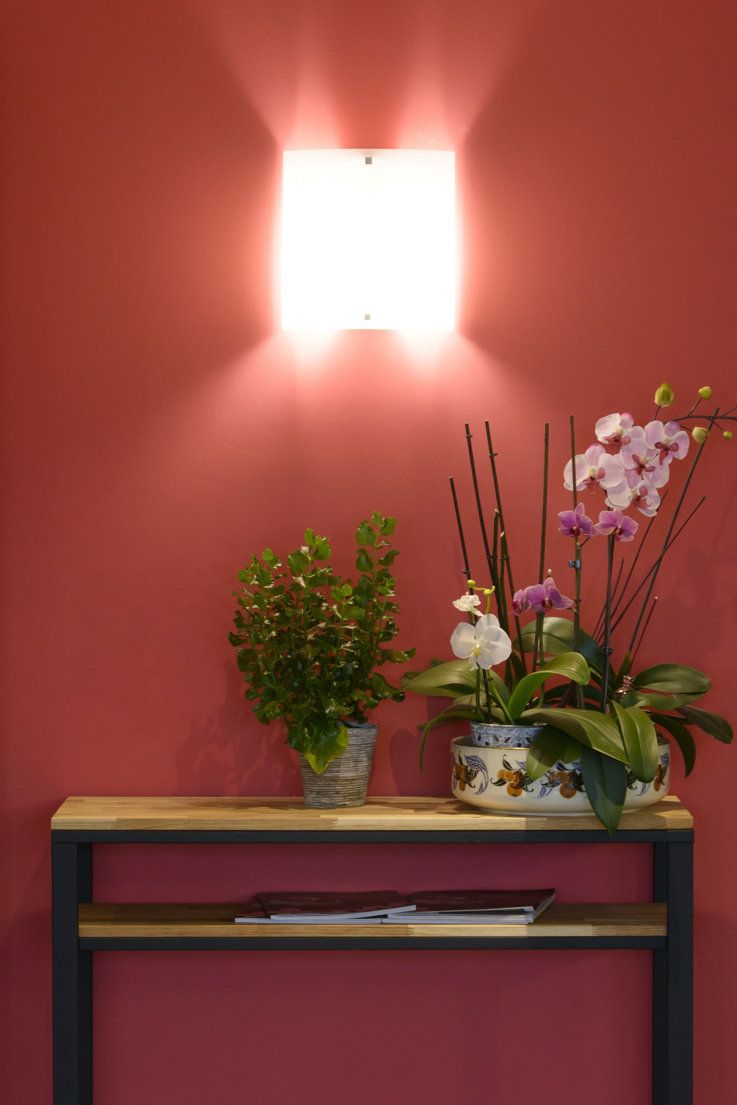 Un tavolo consolle in legno con due piante in vaso e un lampadario a parete.