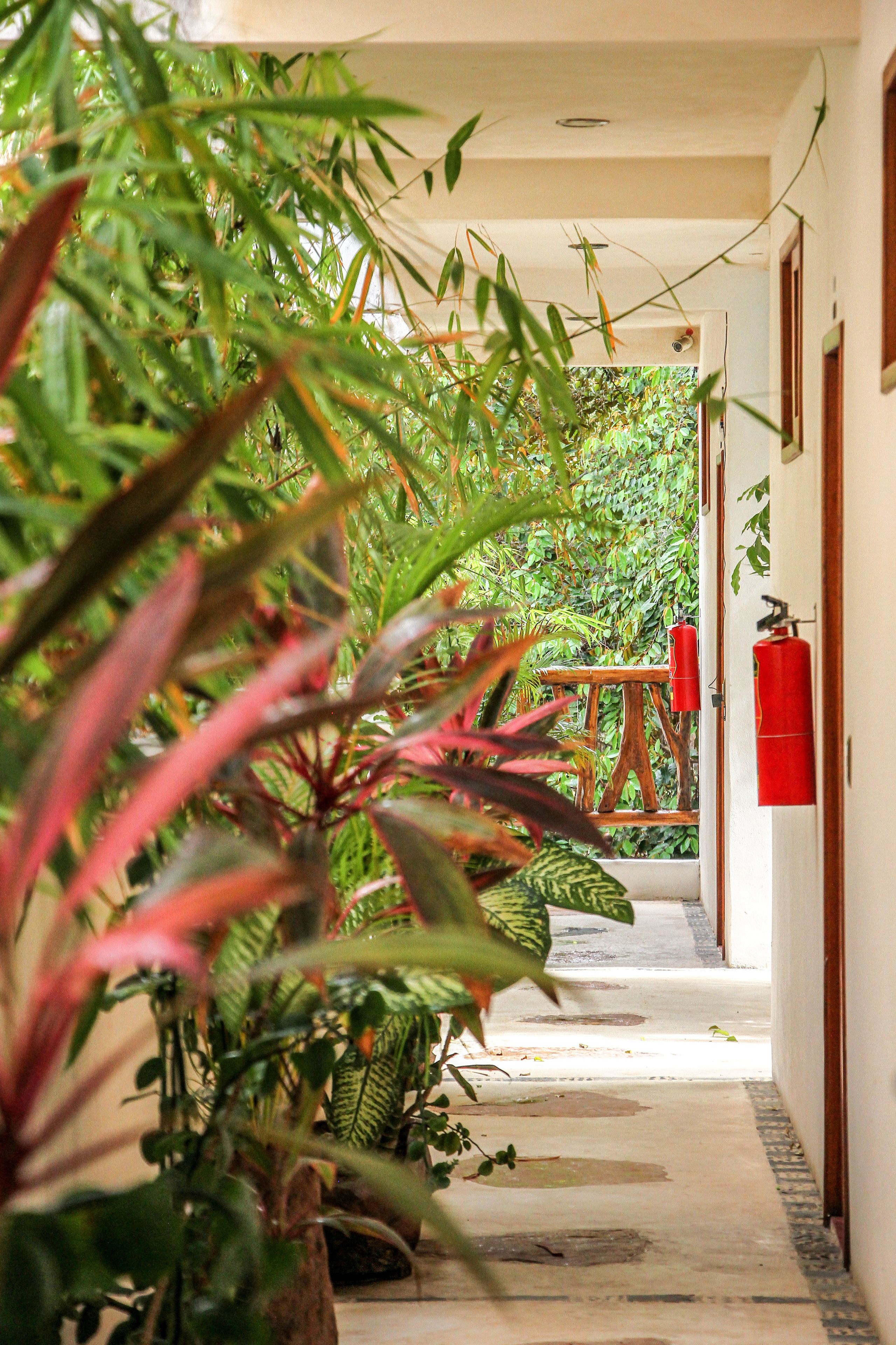 Photo - Corazon de Jade Tulum Downtown