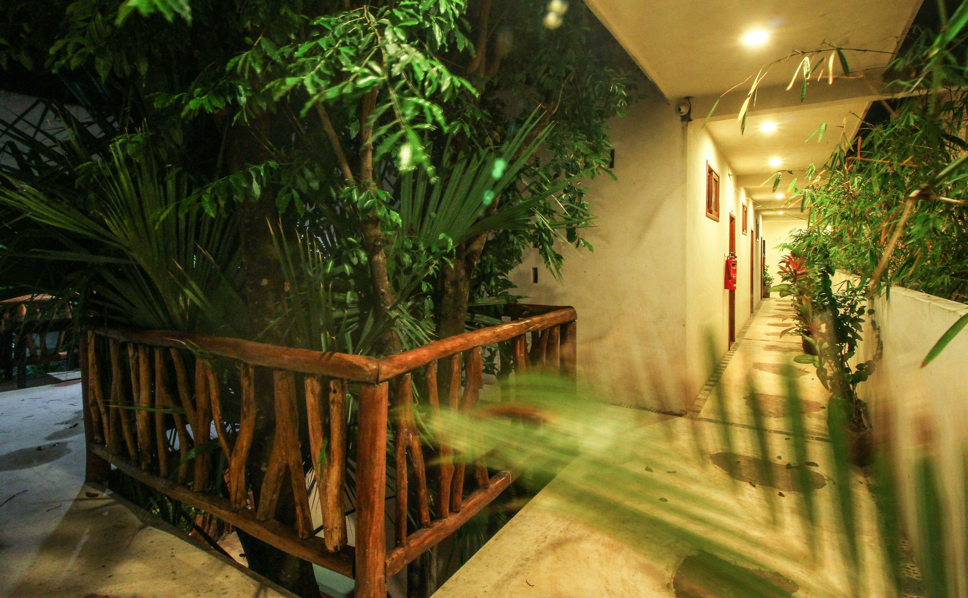 Photo - Corazon de Jade Tulum Downtown