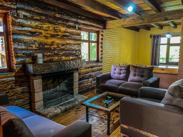 Televisión plasma, chimenea