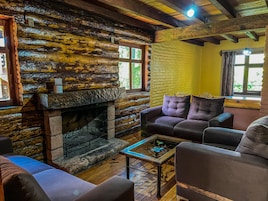 Cabin, 3 Bedrooms, Fireplace | Living area | Plasma TV, fireplace