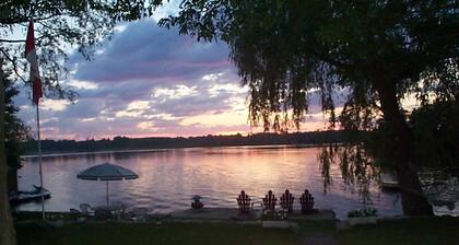 Windswept on the Trent