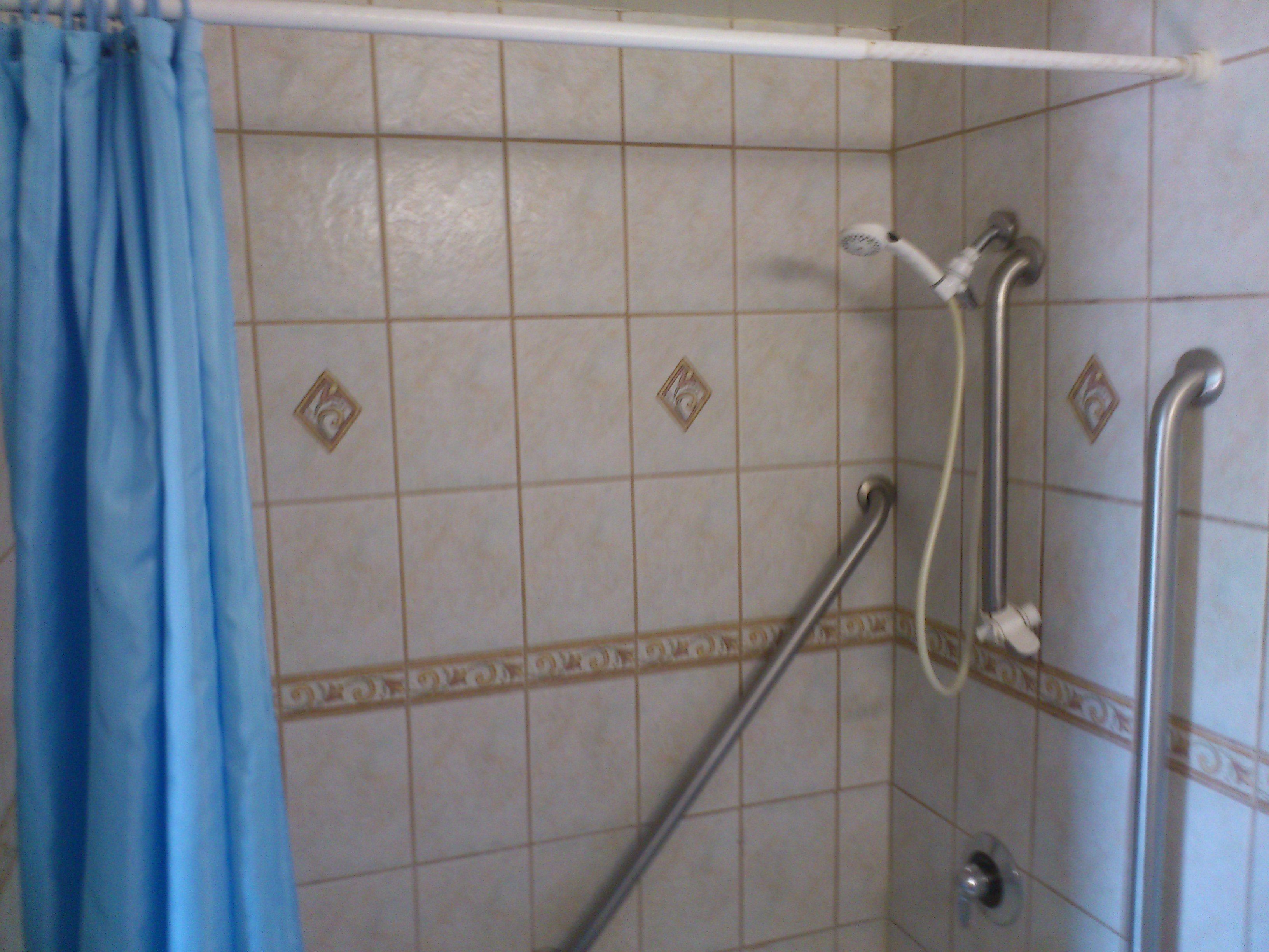 Ein Badezimmer mit Duschbereich, Haltegriffen und einem blauen Vorhang.