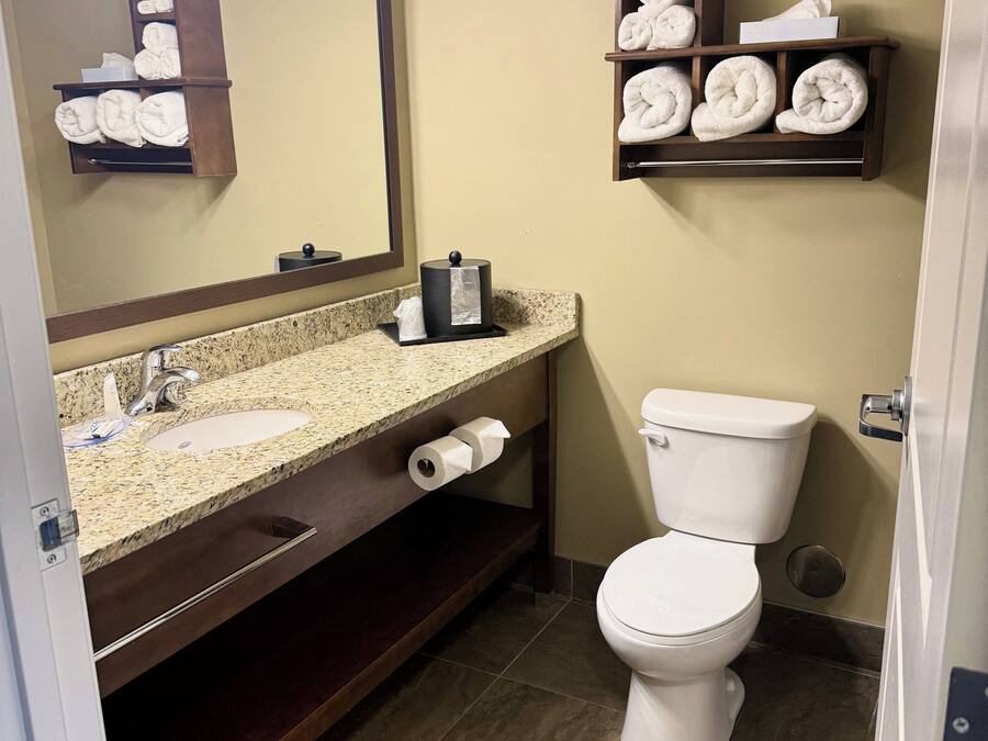 Een badkamer met een wastafel met granieten blad, een spiegel, toilet en handdoekenkasten.