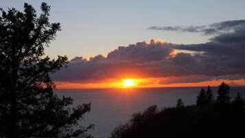 Un tramonto su uno specchio d'acqua, con alberi sullo sfondo.