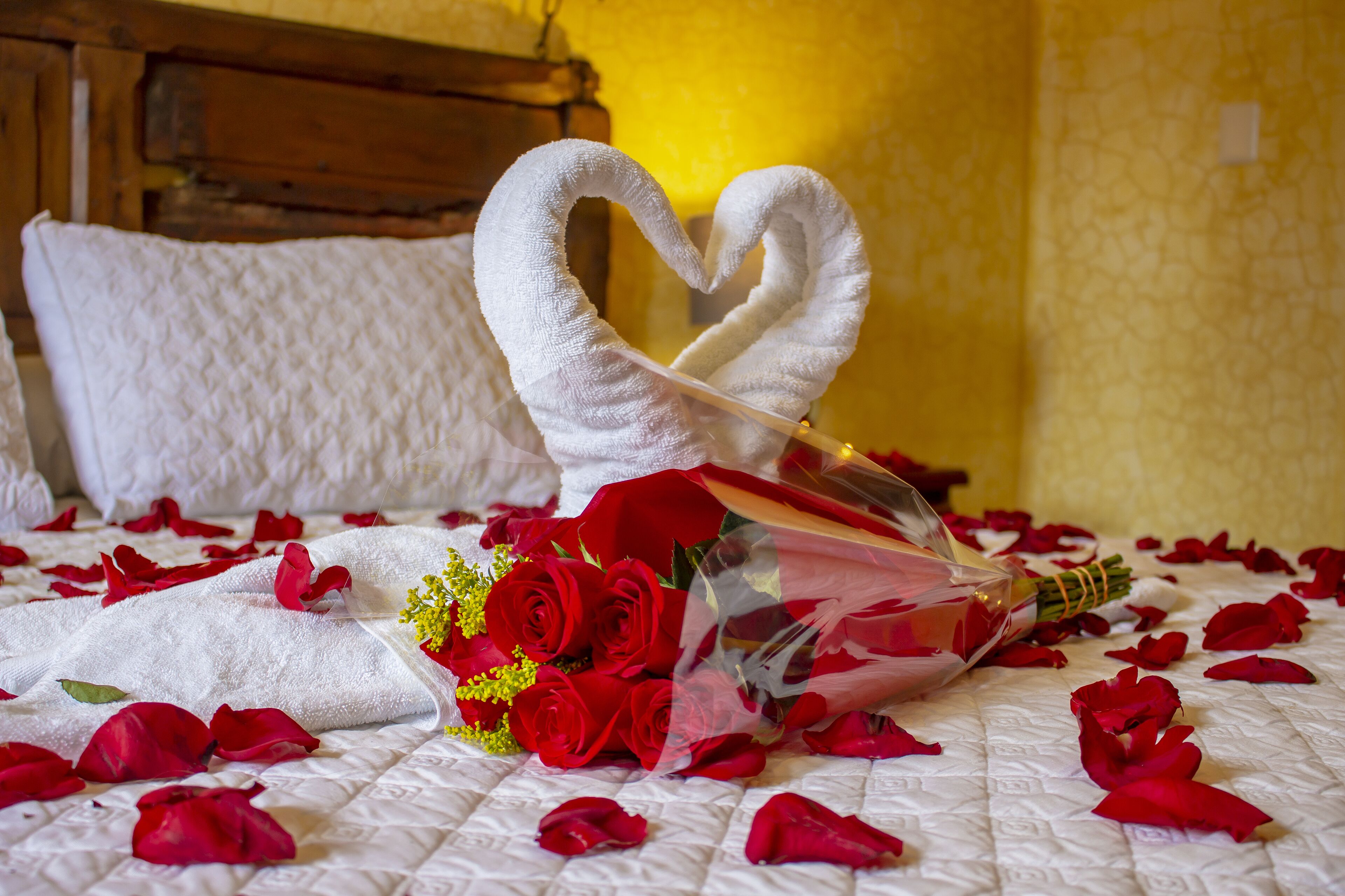 Foto - Casa Mia Hotel