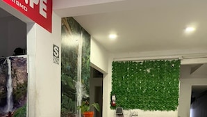 Reception - Samak Wasi (Tarapoto)