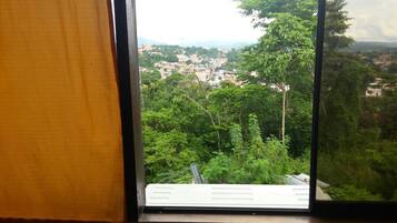 Standard Double Room, 1 Queen Bed, City View | View from room