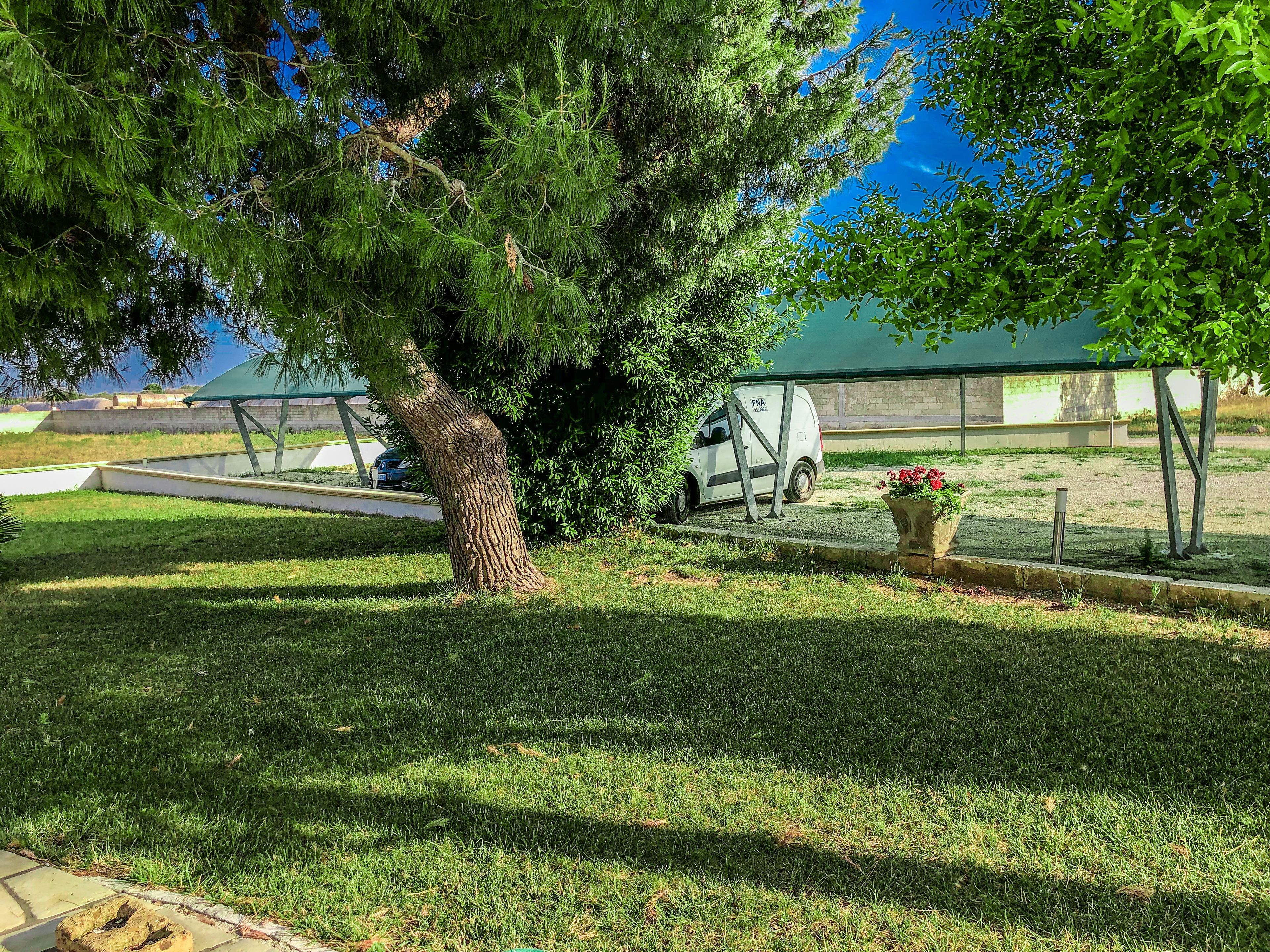 Foto - Il mondo dei sogni