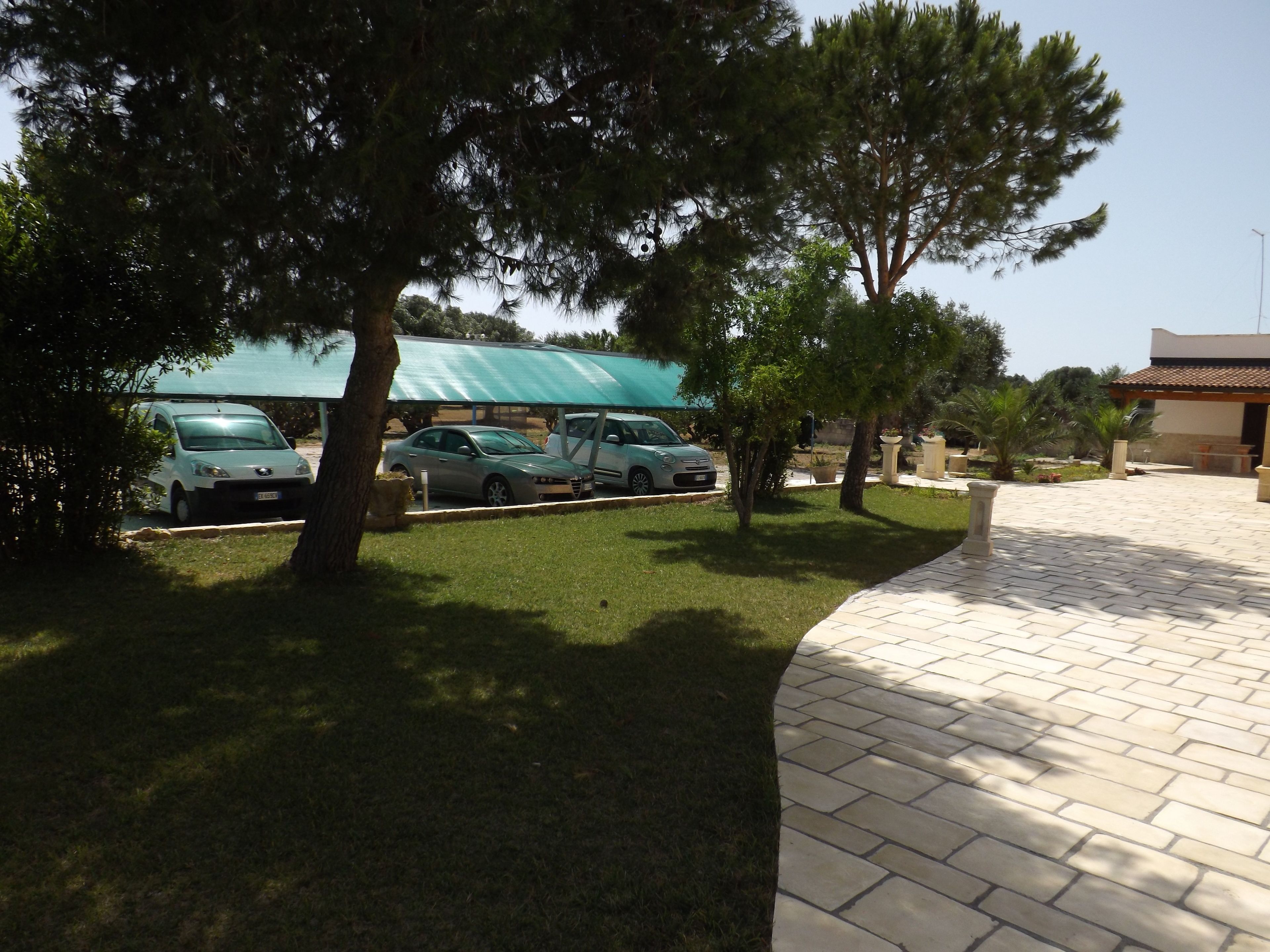 Foto - Il mondo dei sogni