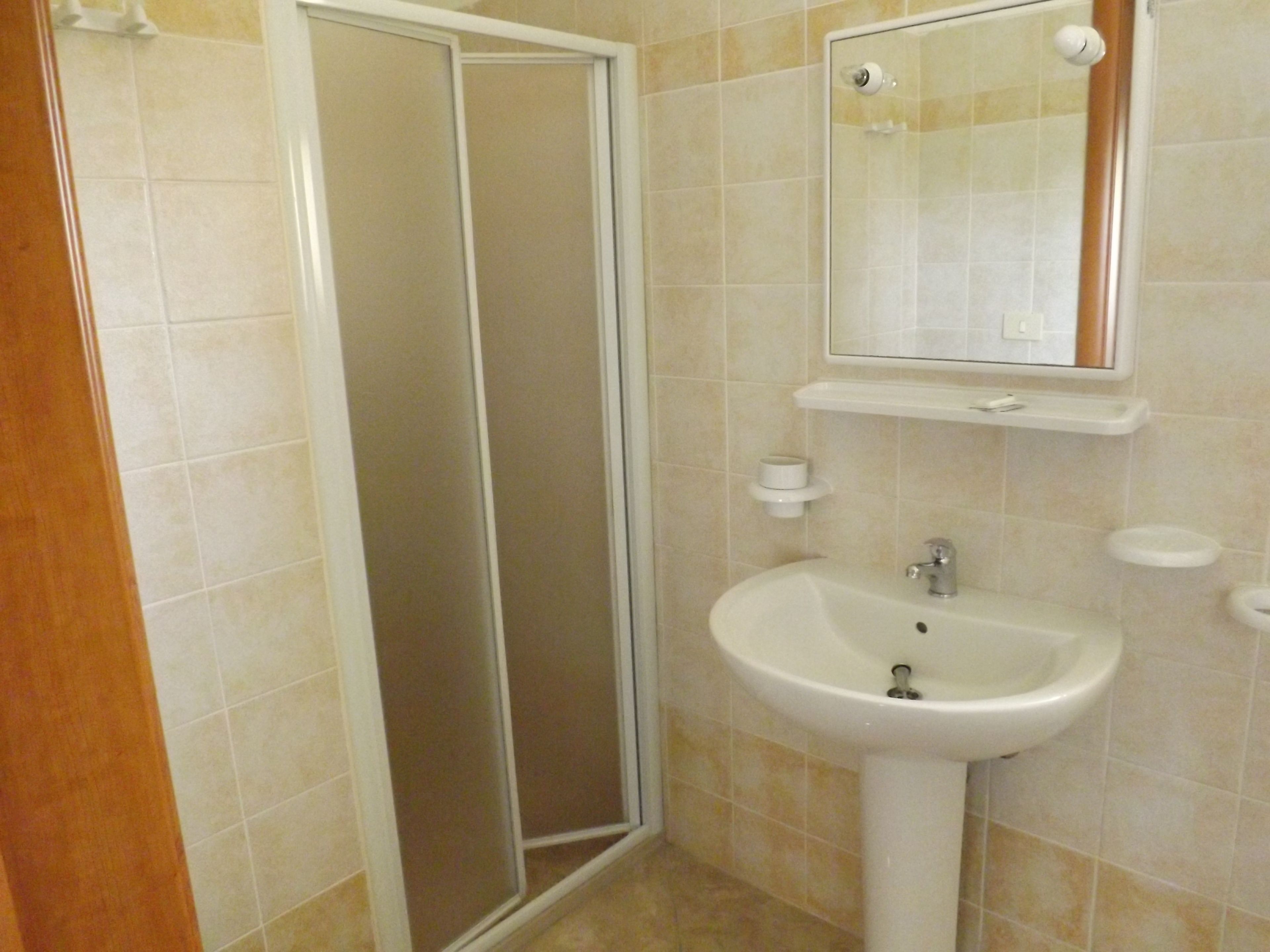 A bathroom with a shower, sink, and mirror.