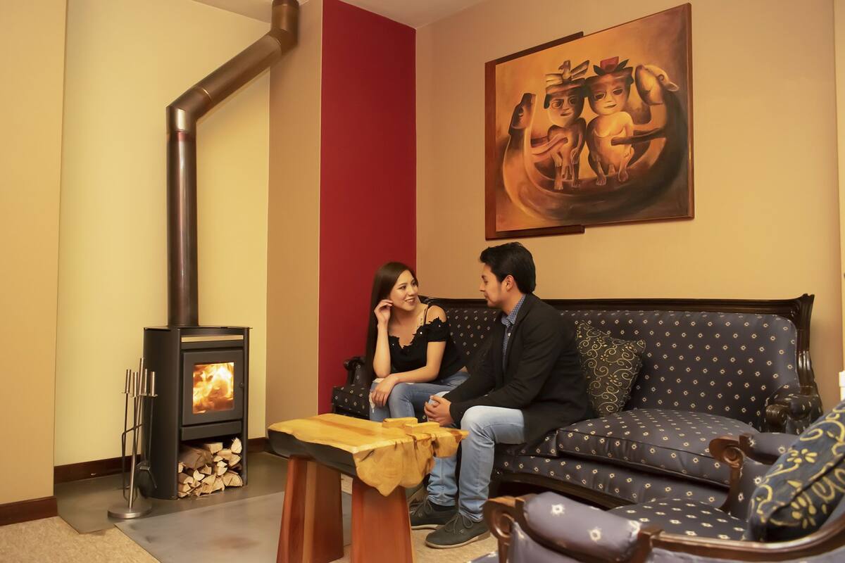 A living room with a wood-burning stove, a sofa, and a painting on the wall.