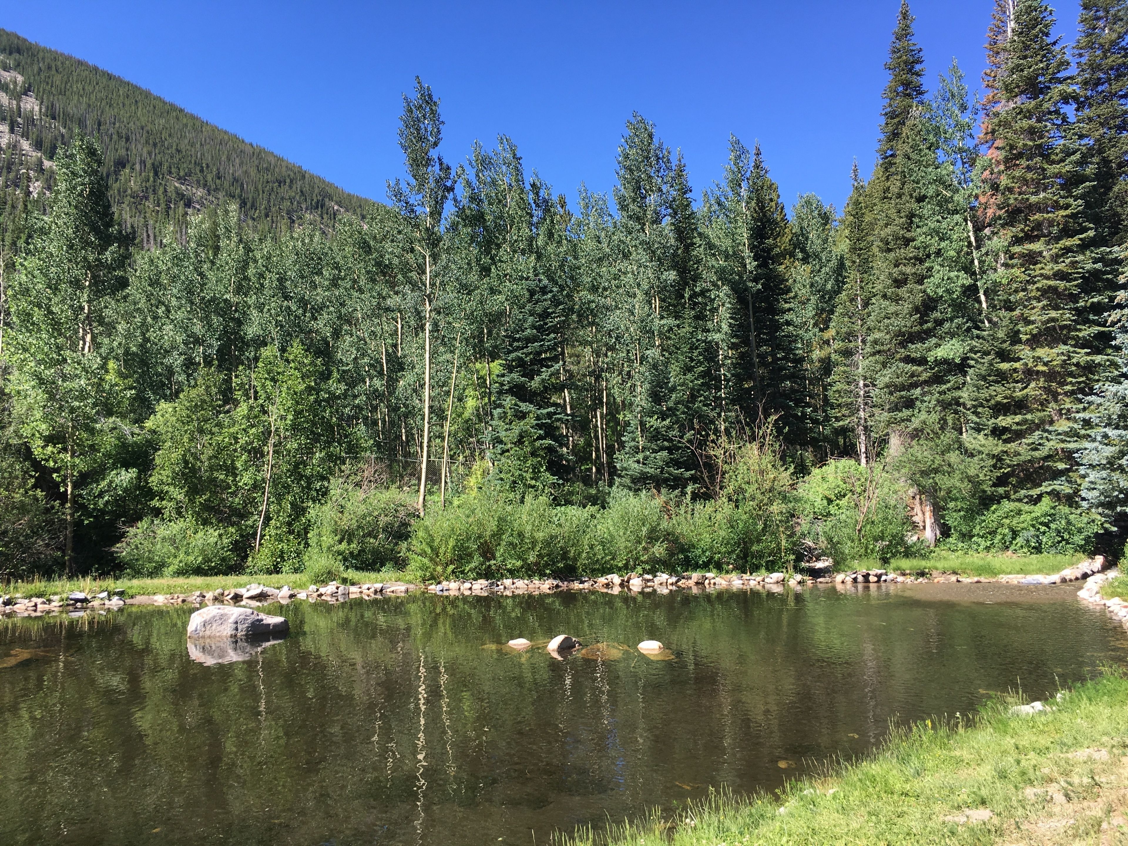 A serene lake surrounded by dense forest and a mountain backdrop.