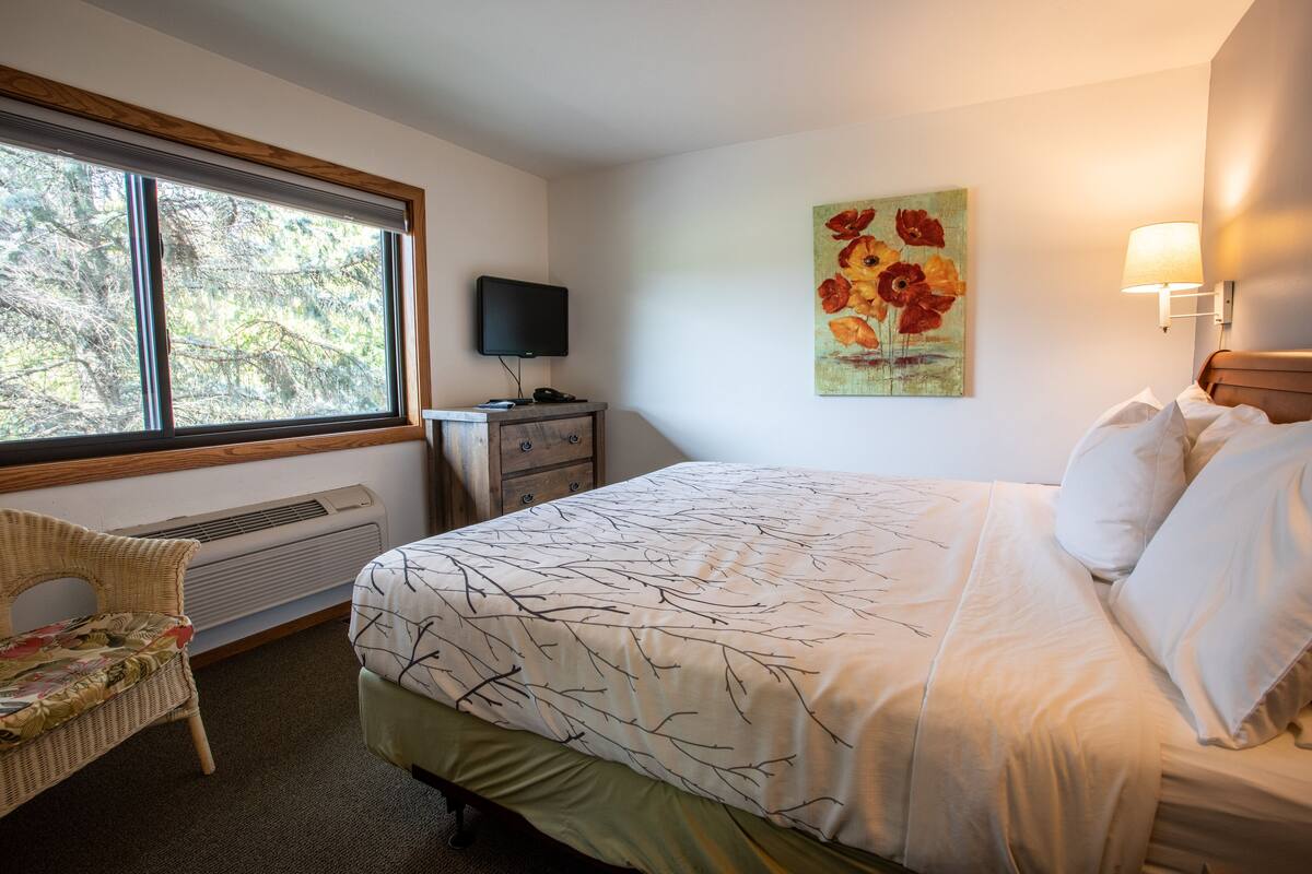 A bedroom with a large bed, a television, a chair, and a window with a view of trees.