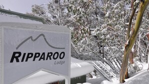 A sign for Ripparoo Lodge with a mountainous graphic, surrounded by snow-covered trees and a staircase. - Ripparoo Ski Lodge (Falls Creek)