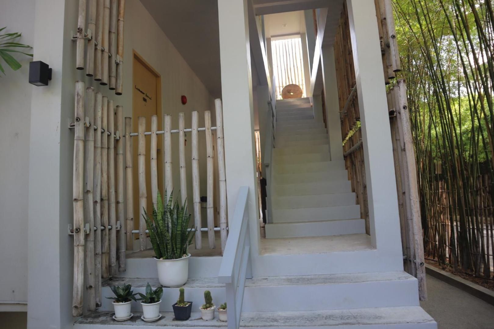 A staircase leading to a room with a bamboo fence on the left and a potted plant at the bottom.