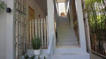 A staircase leading to a room with a bamboo fence on the left and a potted plant at the bottom.
