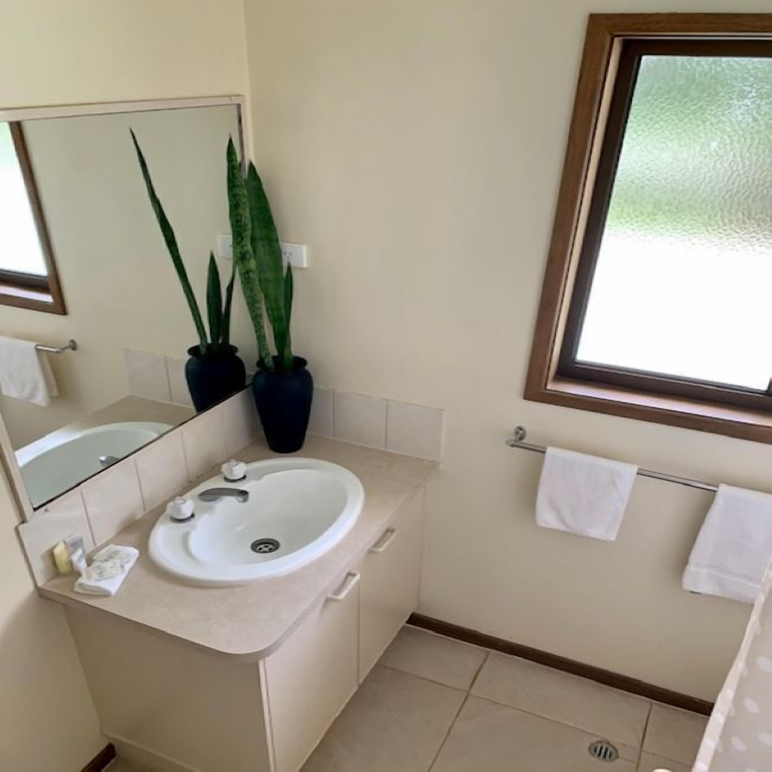 Casa de banho com lavatório, espelho, plantas em vasos e janela.