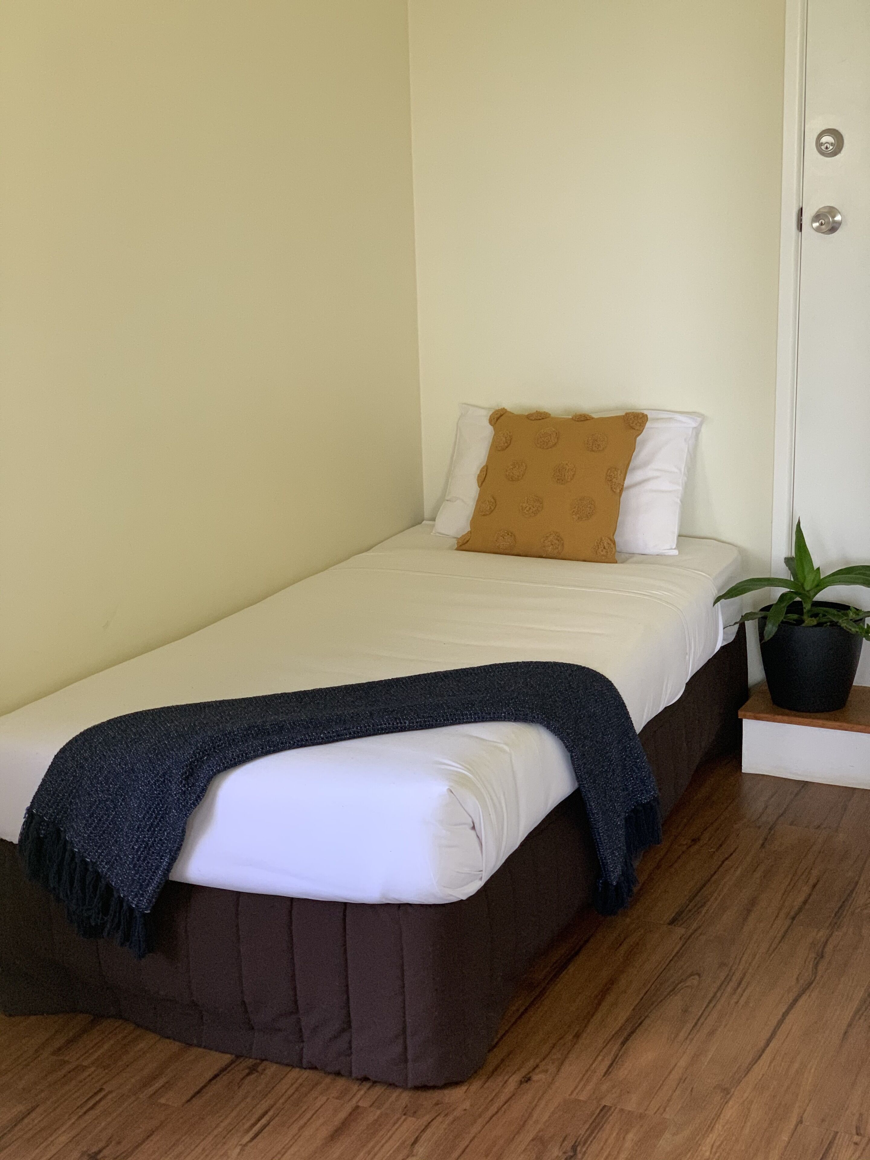 A single bed with a white mattress, a brown headboard, and a blue blanket. There is a potted plant on a wooden nightstand beside the bed.