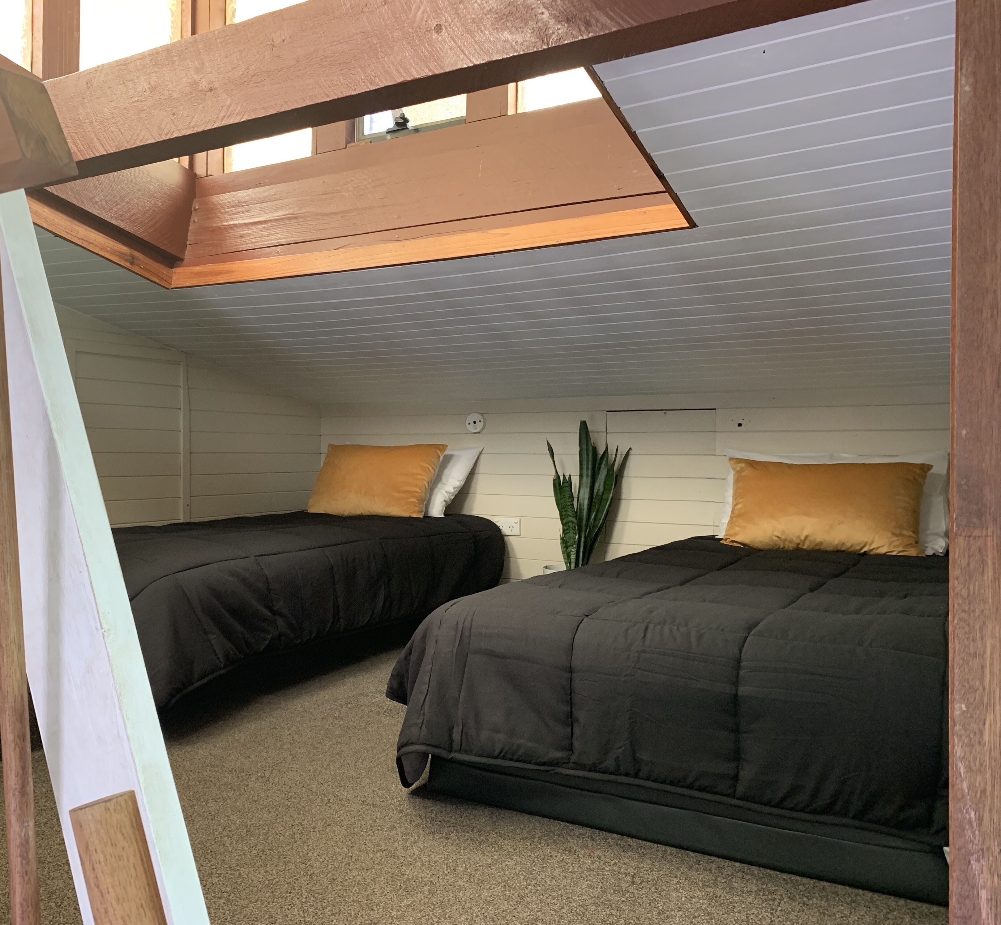 Une petite chambre avec deux lits, une plante en pot et un plafond en pente.