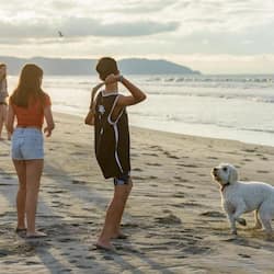 On the beach, white sand