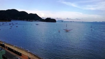 Vista desde la propiedad