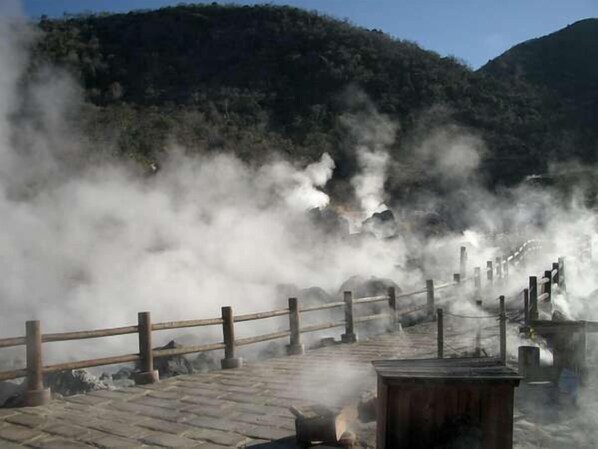 Miscellaneous - Hot Springs Inn 'unzen Iwaki Ryokan' (Unzen)