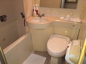 Combined shower/tub, hair dryer, slippers, towels