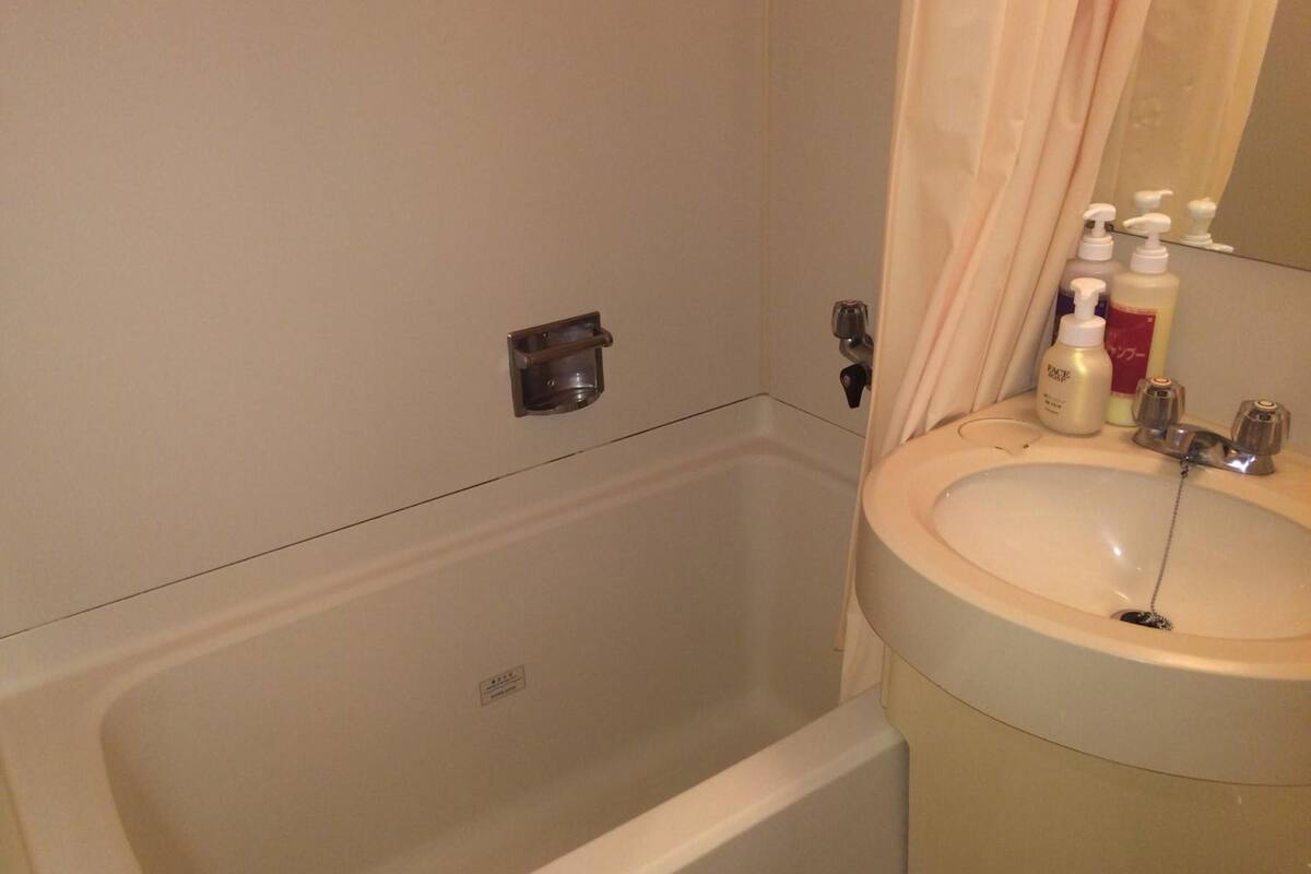 combined shower/bathtub, hair dryer, slippers, towels