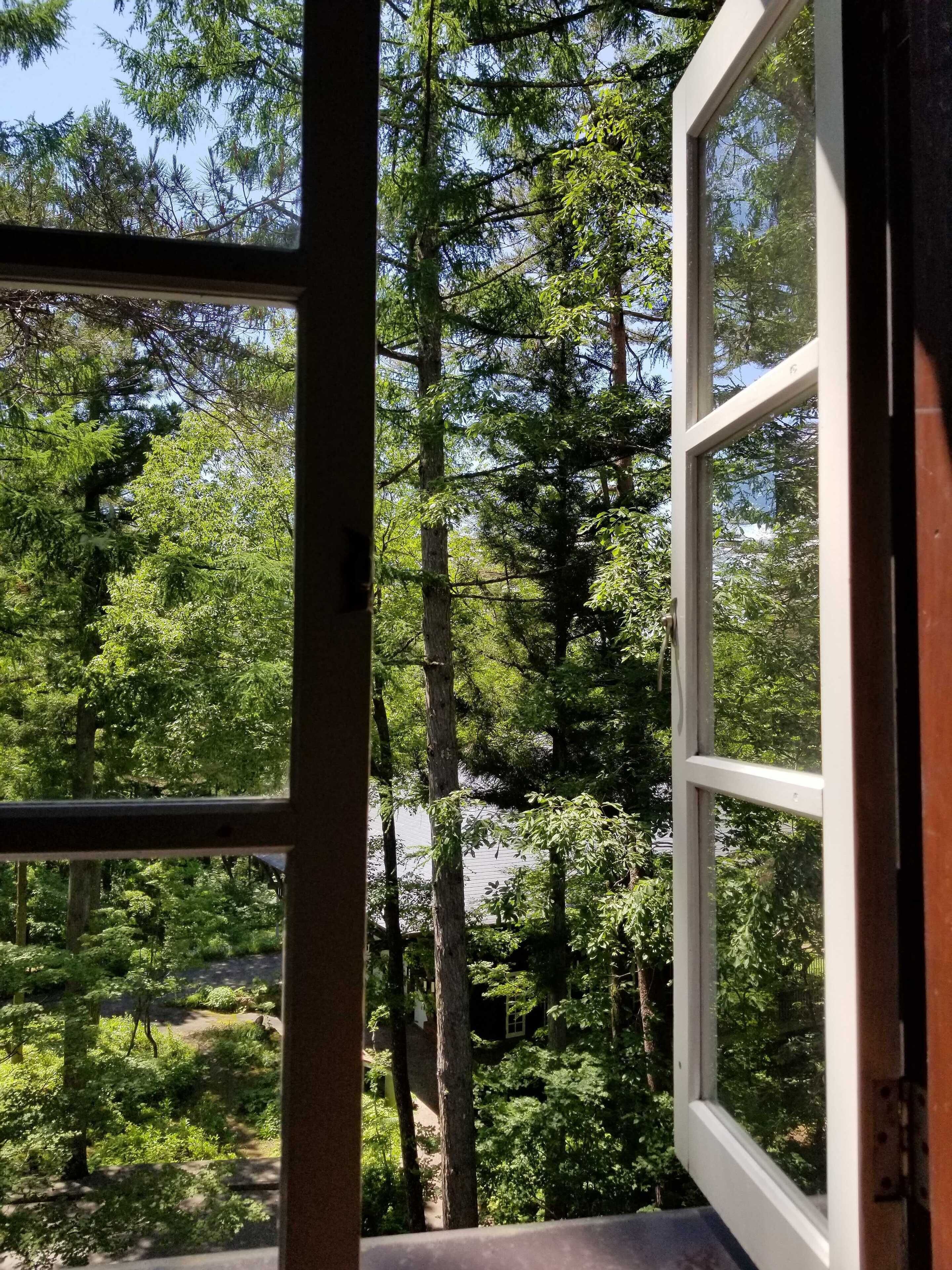 A window with a view of a forested area, including tall trees and a pathway.