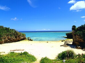 Una playa con agua turquesa cristalina, una orilla arenosa y abundante vegetación.