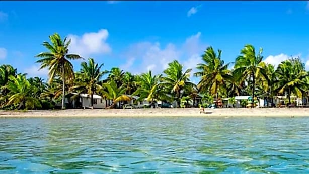 A beach with clear turquoise water, palm trees, and a row of beach huts.