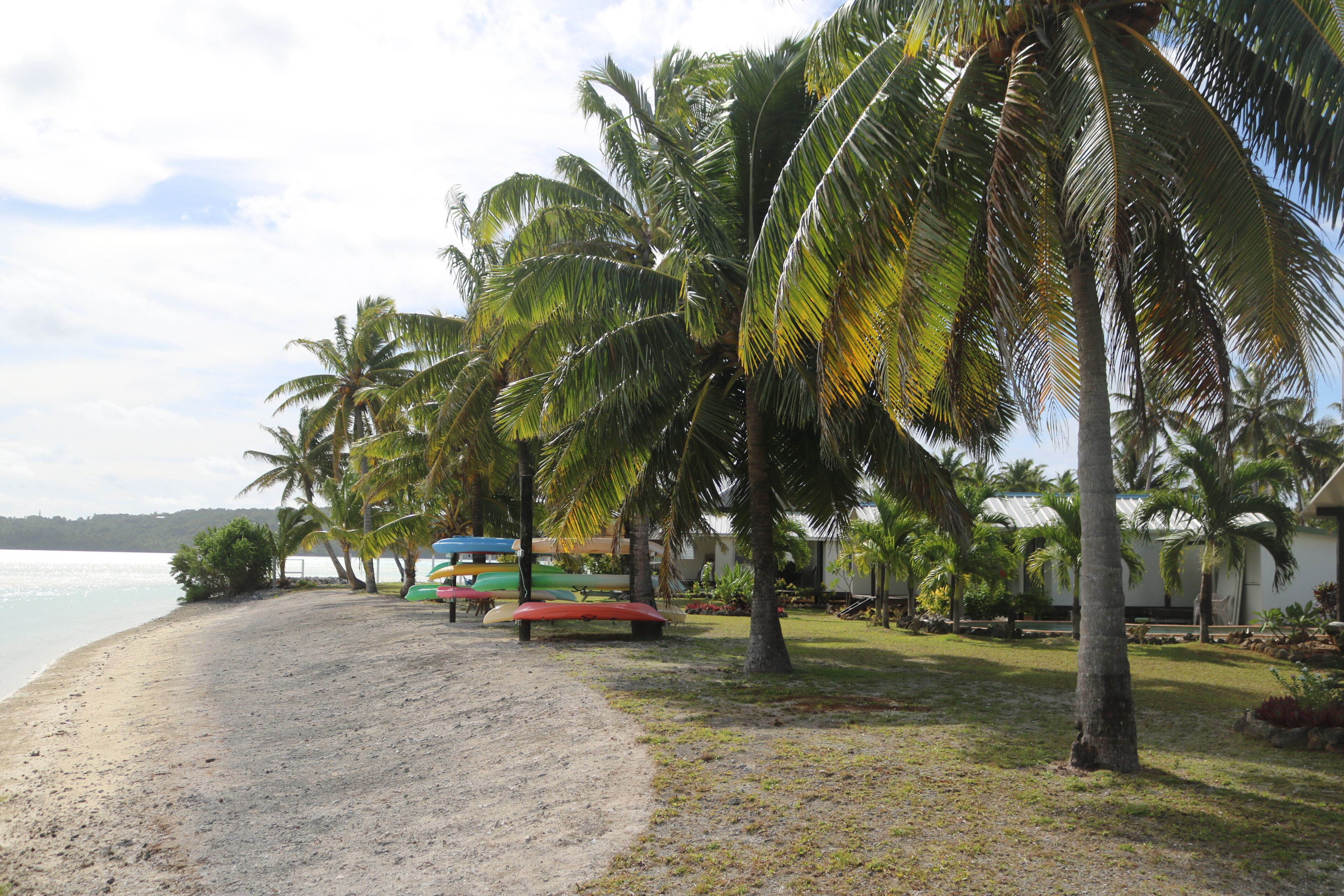 A beach with palm trees, a sandy shore, and a building with a blue roof.