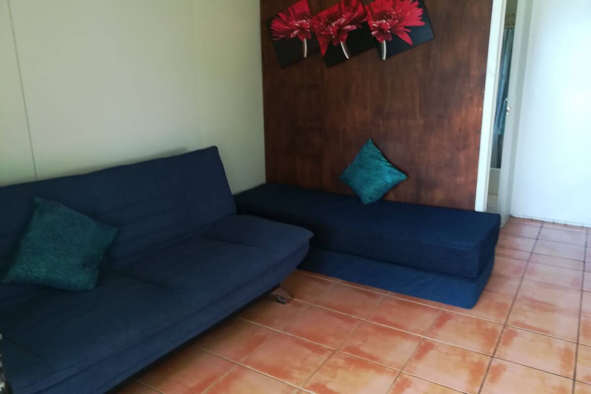 Ein Wohnzimmer mit zwei dunkelblauen Sofas, eines mit einem türkisfarbenen Kissen und das andere mit einem türkisfarbenen Zierkissen. Über den Sofas an einer dunklen Wand befinden sich drei rote Blumen.