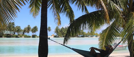 Vue sur la plage/l’océan