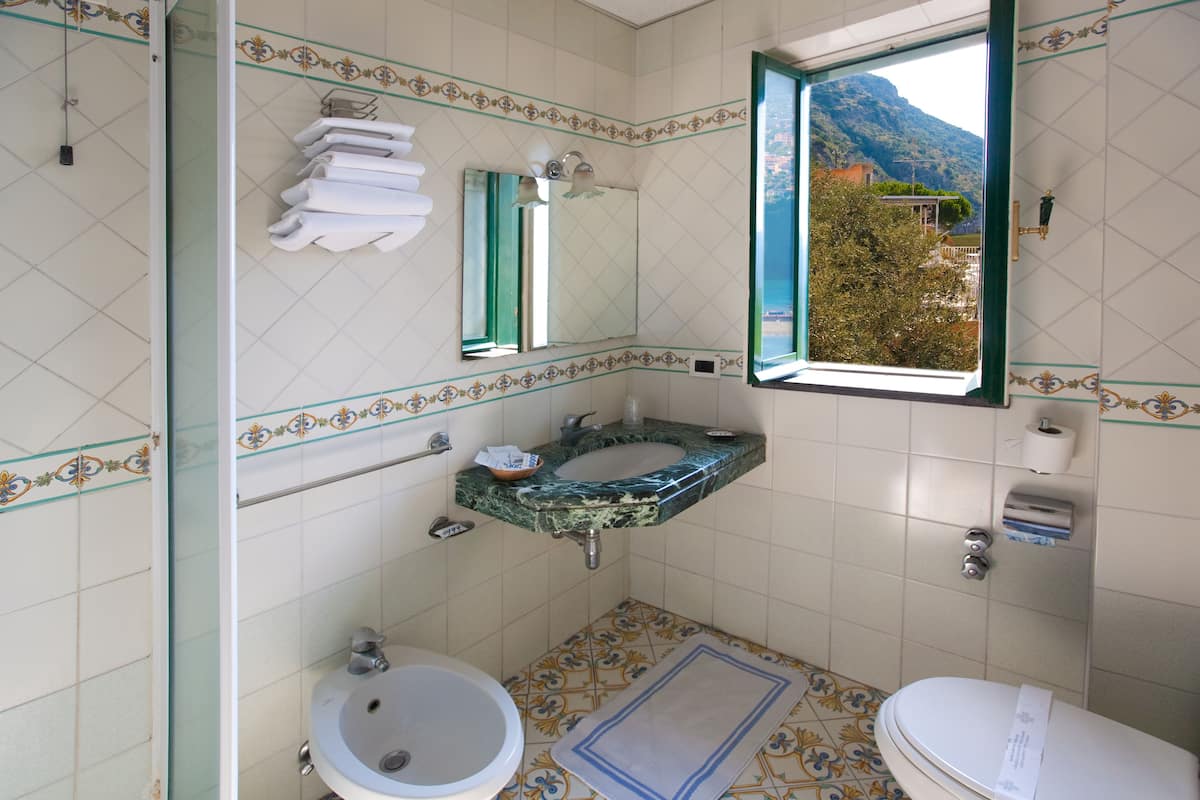 shower, hair dryer, slippers, bidet