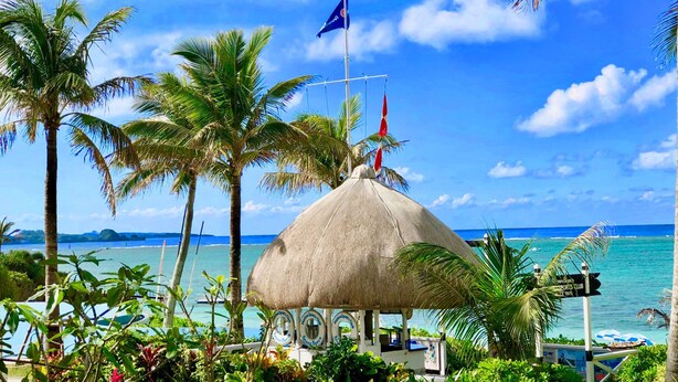 A thatched-roof structure with a flag, surrounded by palm trees and a view of the ocean. - Pension Moon Villa (Onna)