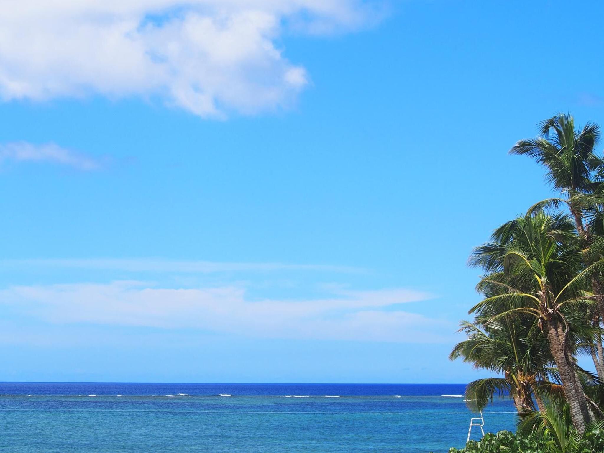 A clear view of the ocean with a few boats, palm trees, and a clear sky.