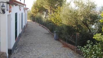 واجهة المنشأة