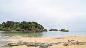 A beach with clear water, sandy shore, and rocky outcrops with vegetation. - Pension Hoshi NO Suna (Taketomi)