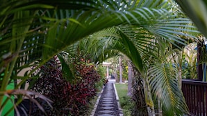 Taman