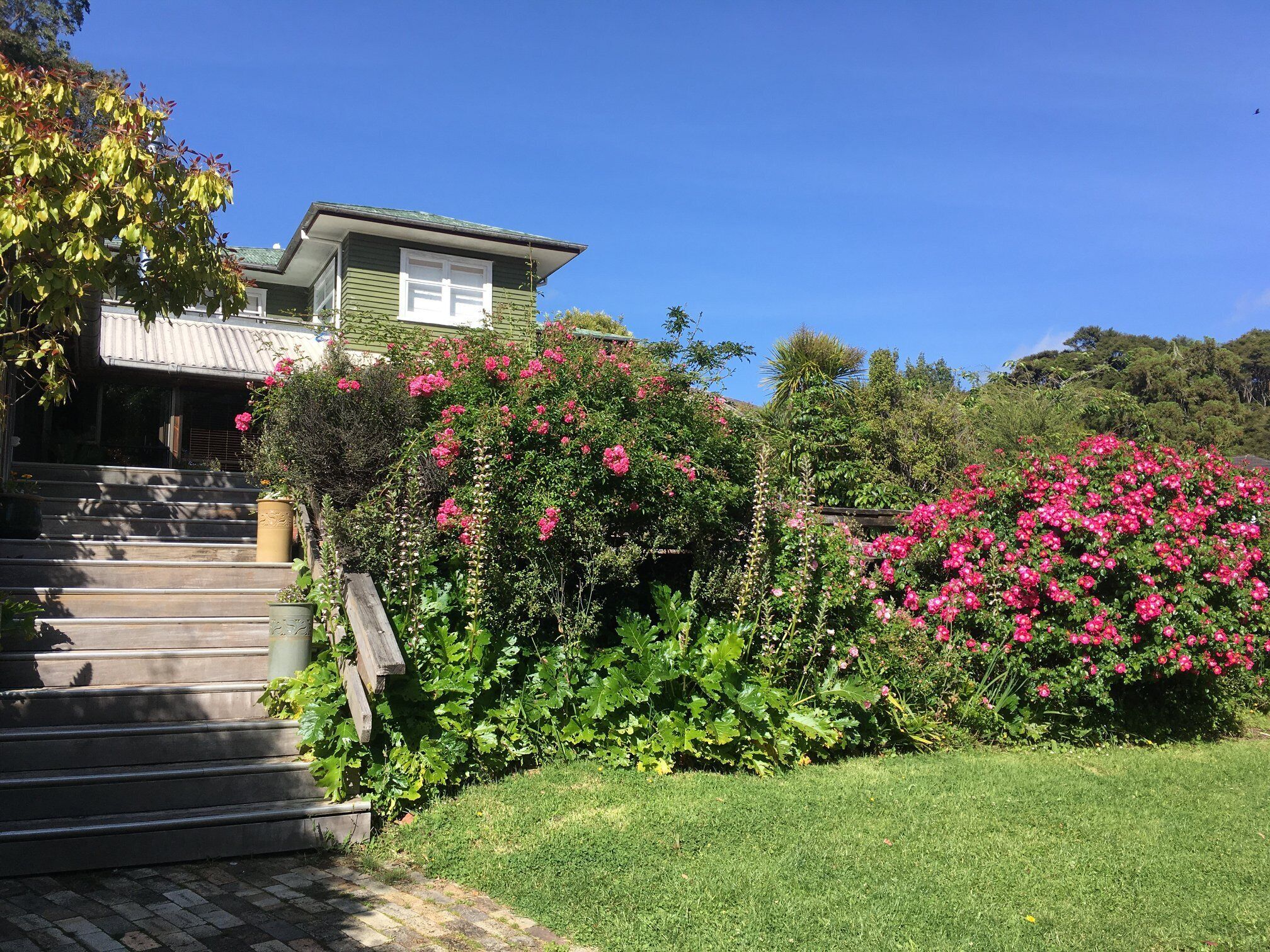 Photo - Kawai Purapura Yoga Retreat Centre