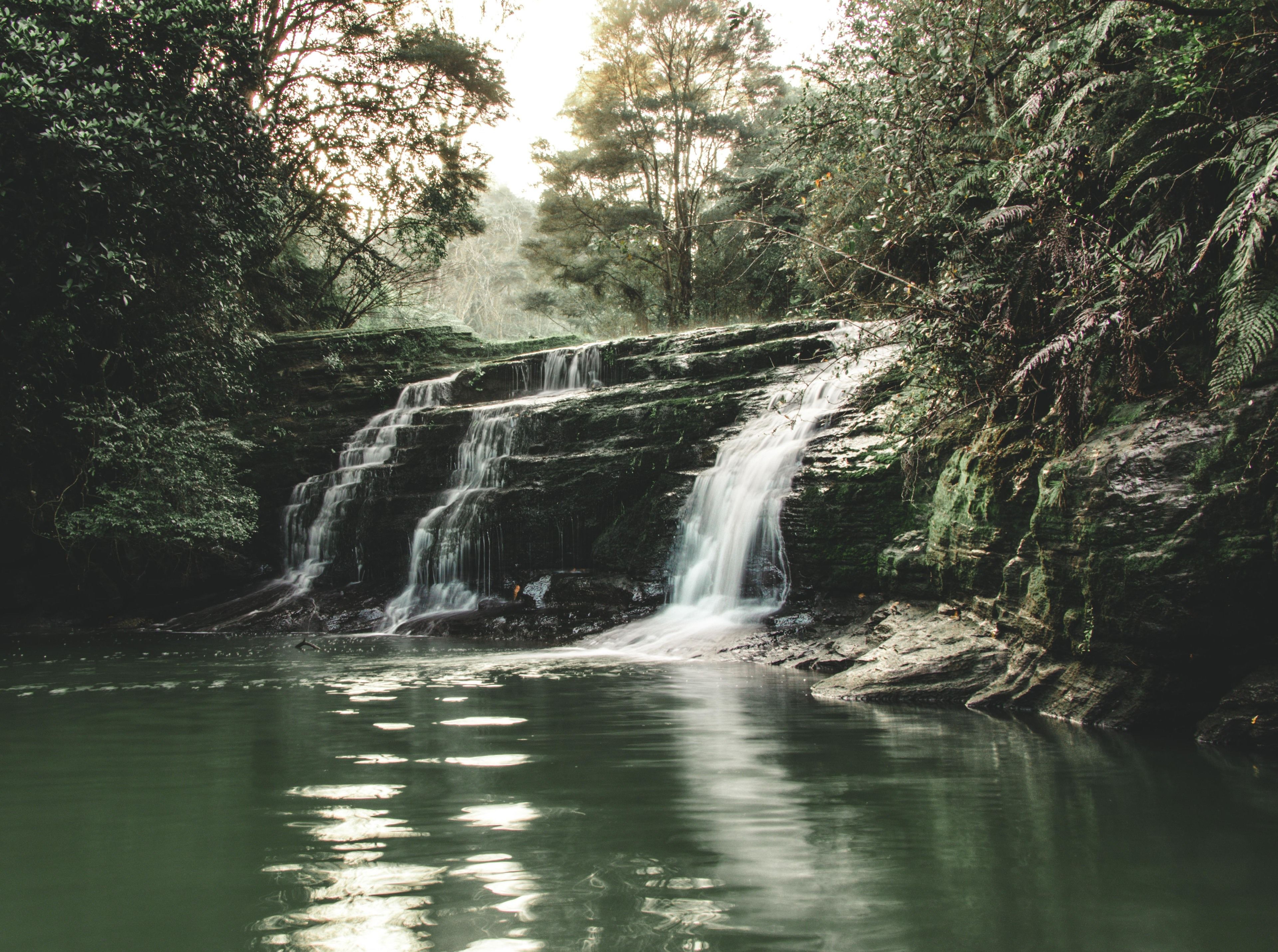 Photo - Kawai Purapura Yoga Retreat Centre