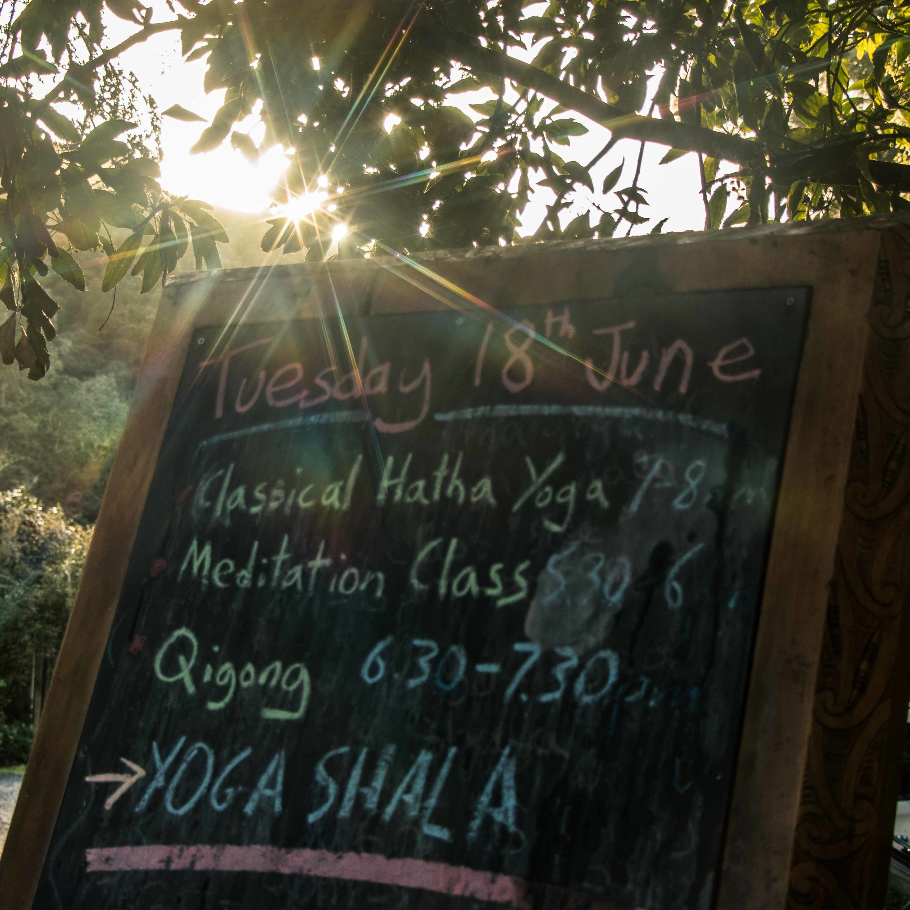 Photo - Kawai Purapura Yoga Retreat Centre