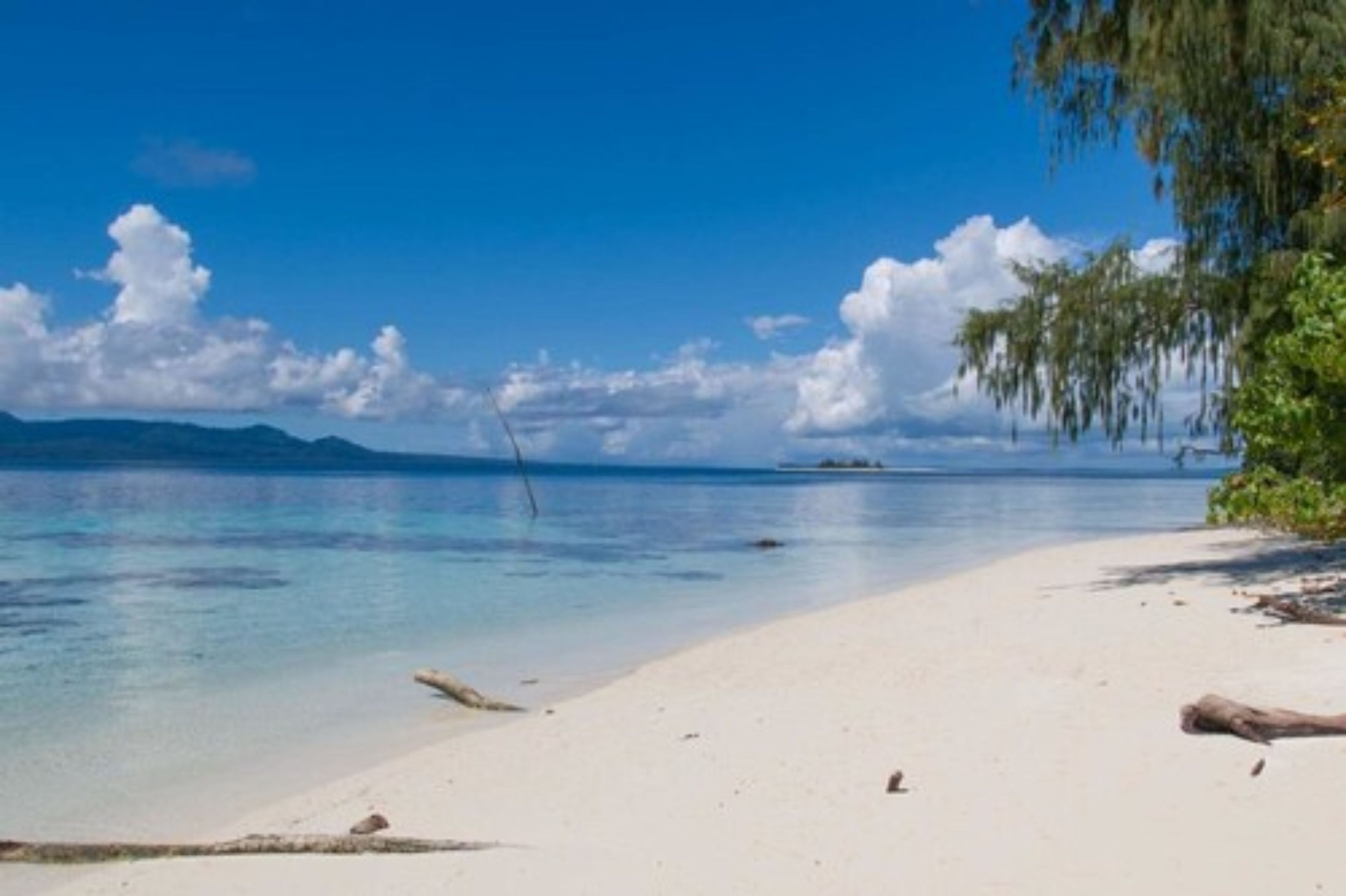 Grillaus-/piknikalue