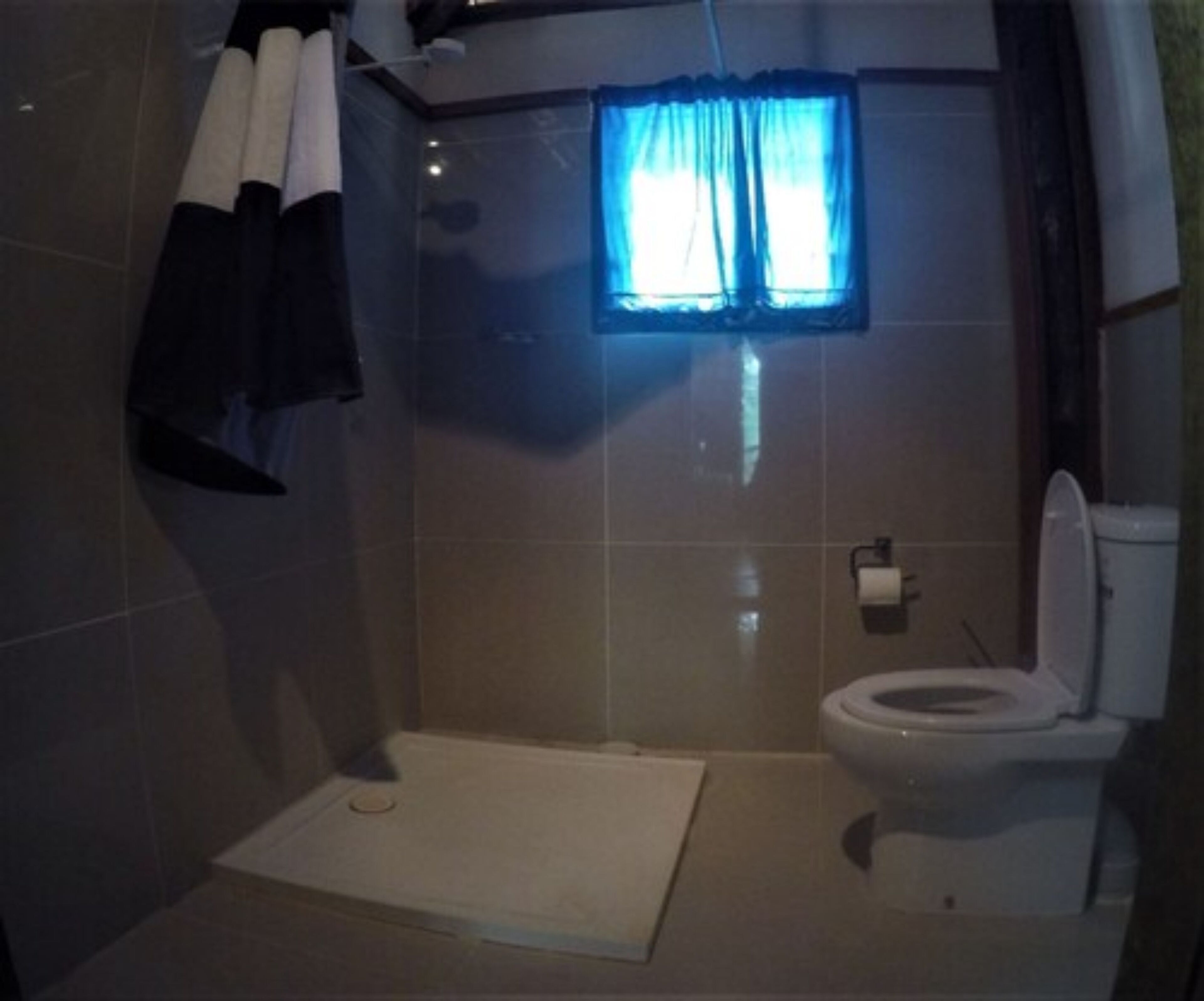A bathroom with a toilet, a shower area, and a window with blue curtains.