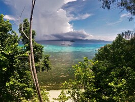 Una playa tropical con aguas turquesas cristalinas, un velero y exuberante vegetación.