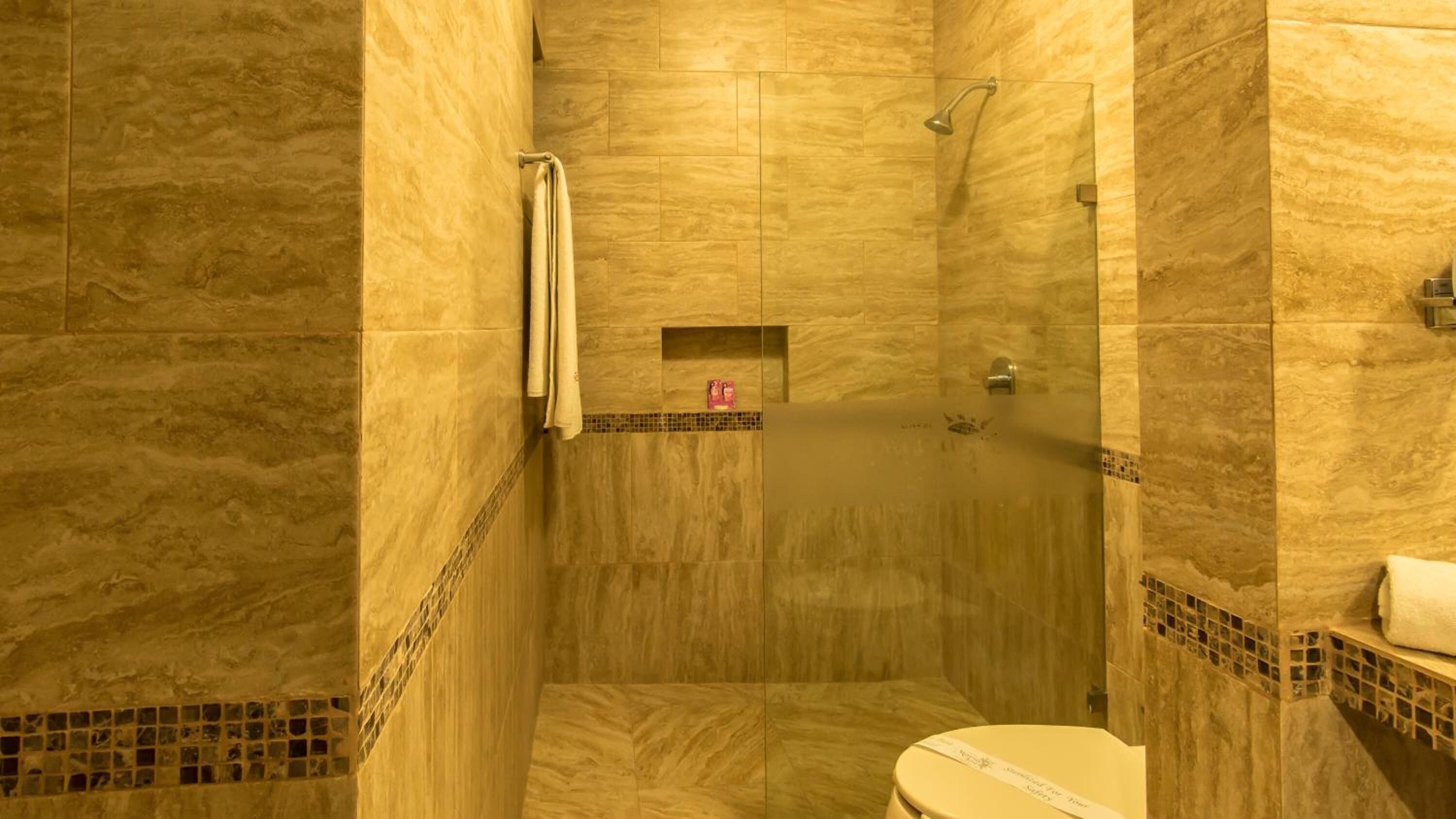 shower, free toiletries, hair dryer, towels